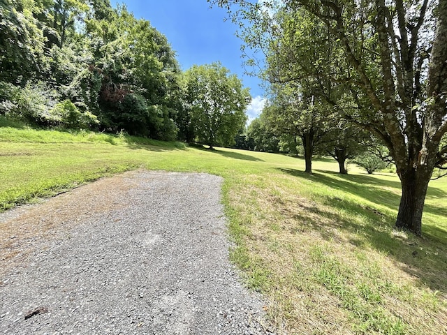 3 Hatchett Hollow Rd, Cornersville, TN 37047 - photo 10