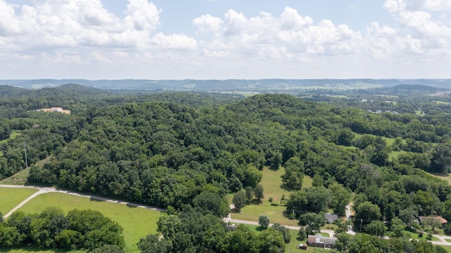 3 Hatchett Hollow Rd, Cornersville, TN 37047 - photo 30