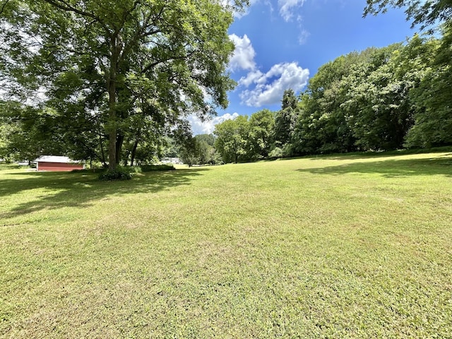 3 Hatchett Hollow Rd, Cornersville, TN 37047 - photo 24