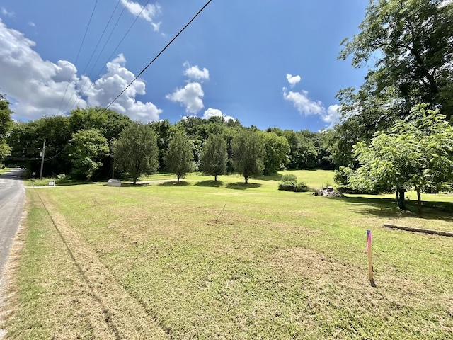 3 Hatchett Hollow Rd, Cornersville, TN 37047 - photo 6