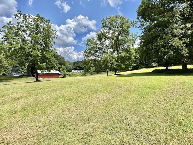 3 Hatchett Hollow Rd, Cornersville, TN 37047 - photo 25