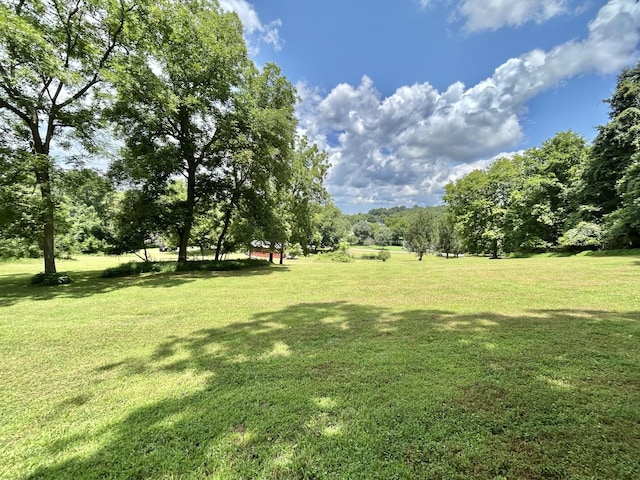 3 Hatchett Hollow Rd, Cornersville, TN 37047 - photo 20