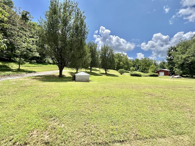 3 Hatchett Hollow Rd, Cornersville, TN 37047 - photo 4