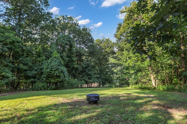 2661 Tinnin Rd, Goodlettsville, TN 37072 - photo 39