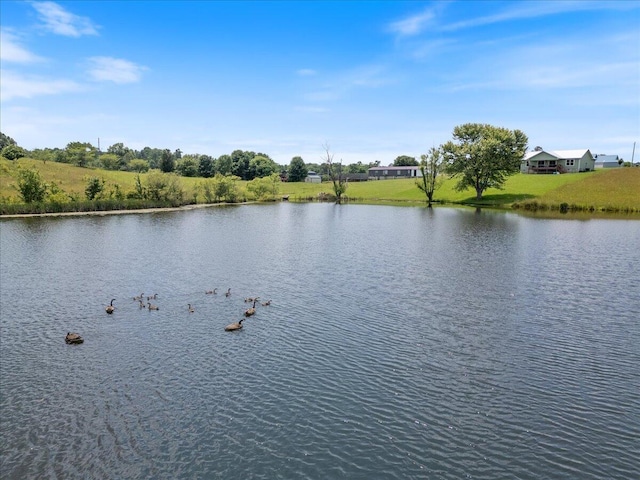 124 Rolling Meadows Rd, Pikeville, TN 37367 - photo 8