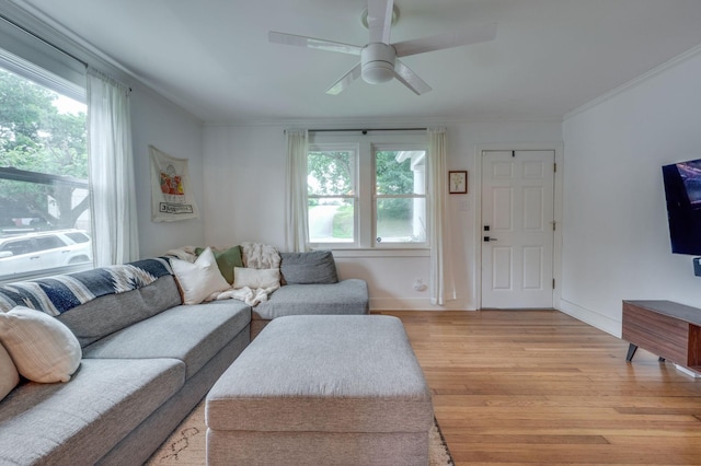 1812 Morningside Ave, Columbia, TN 38401 - photo 6