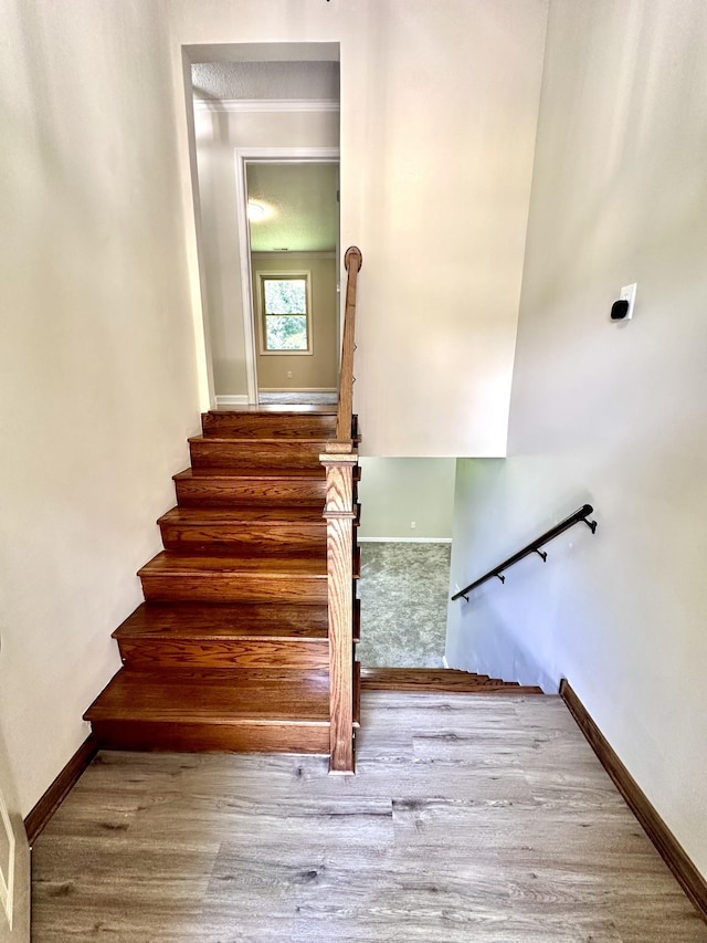 1040 Old Fayetteville Hwy, Lynchburg, TN 37352 - photo 4