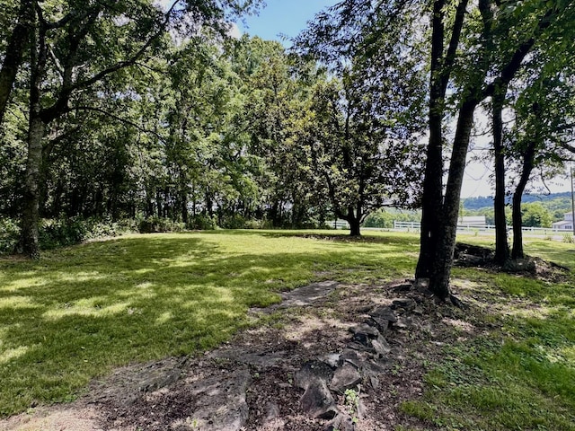 1040 Old Fayetteville Hwy, Lynchburg, TN 37352 - photo 43