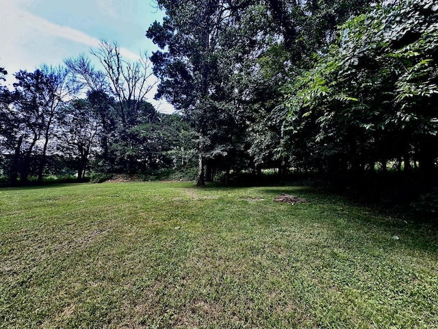 1040 Old Fayetteville Hwy, Lynchburg, TN 37352 - photo 48