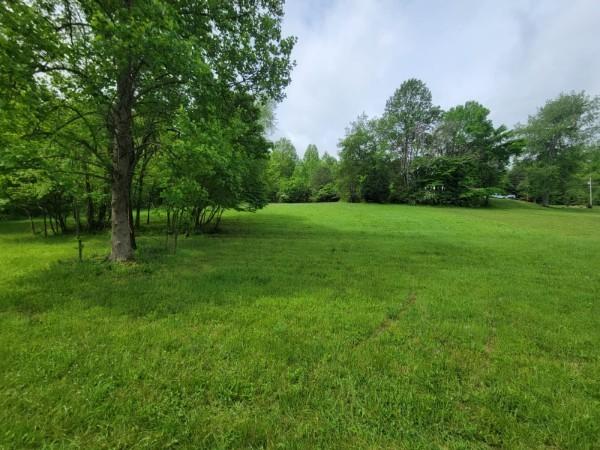 7410 Sleepy Hollow Ln, Fairview, TN 37062 - photo 12