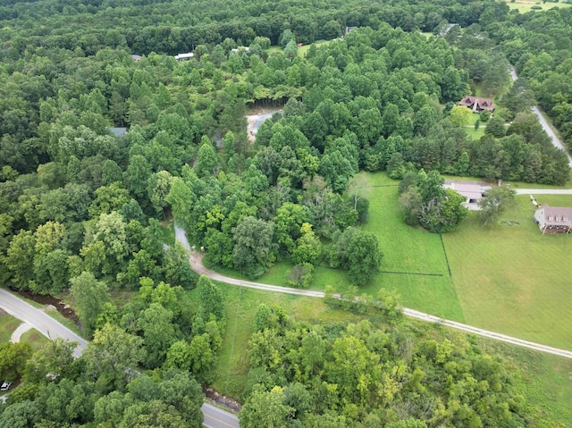7410 Sleepy Hollow Ln, Fairview, TN 37062 - photo 8