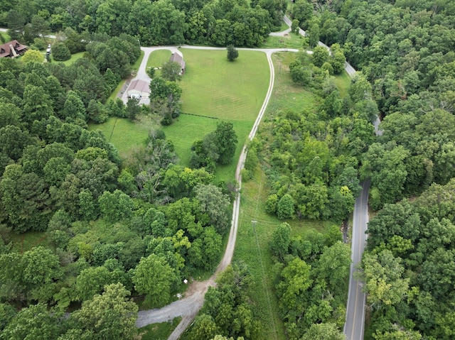 7410 Sleepy Hollow Ln, Fairview, TN 37062 - photo 10