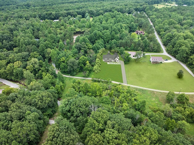 7410 Sleepy Hollow Ln, Fairview, TN 37062 - photo 5