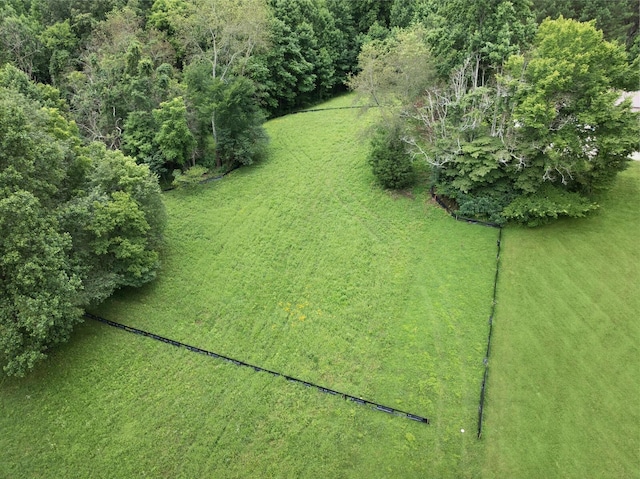 7410 Sleepy Hollow Ln, Fairview, TN 37062 - photo 11