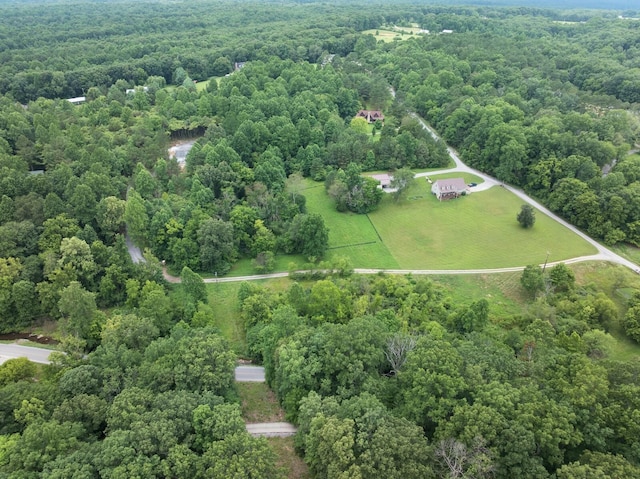 7410 Sleepy Hollow Ln, Fairview, TN 37062 - photo 7
