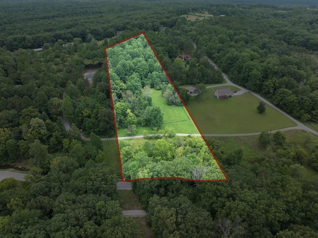 7410 Sleepy Hollow Ln, Fairview, TN 37062 - photo 6