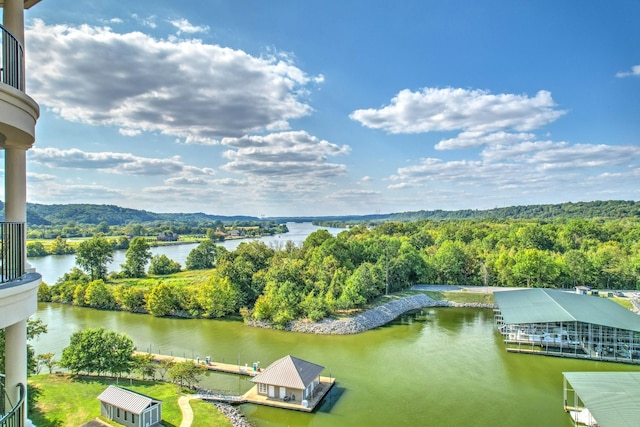 400 Warioto Way Unit 407, Ashland City, TN 37015 - photo 4
