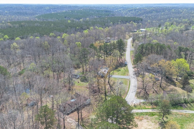 2540 Grays Bend Rd, Centerville, TN 37033 - photo 16