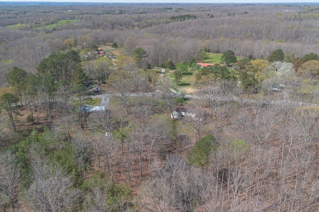 2540 Grays Bend Rd, Centerville, TN 37033 - photo 13