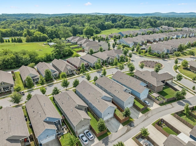 2064 Kirkwall Dr, Nolensville, TN 37135 - photo 47