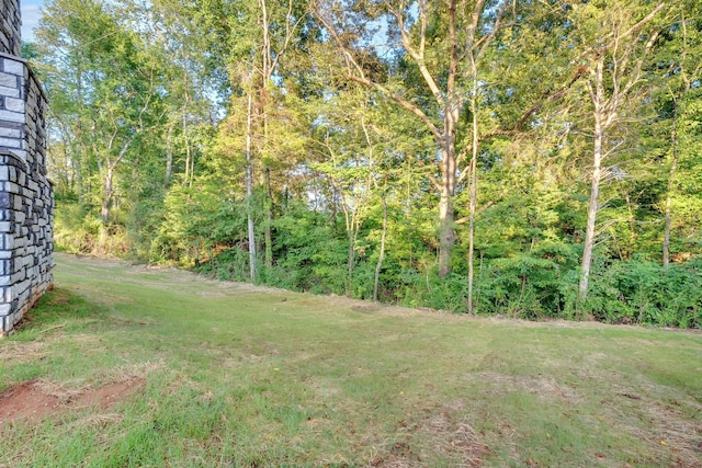 92 Ghea Rd, Normandy, TN 37360 - photo 14