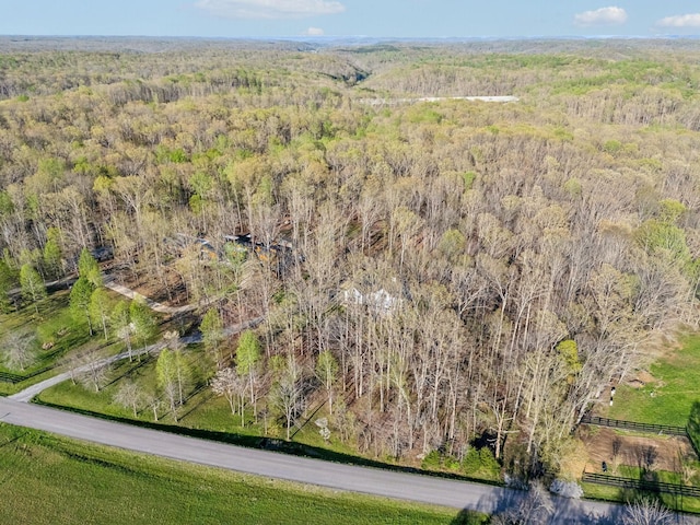 5820 Bending Chestnut Rd, Franklin, TN 37064 - photo 58