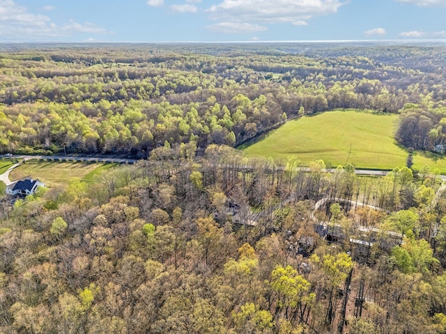 5820 Bending Chestnut Rd, Franklin, TN 37064 - photo 59