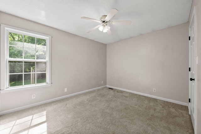 585 Somerset Ln, Clarksville, TN 37042 - photo 19