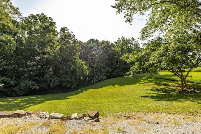 653 Drury Ridge Rd, Lafayette, TN 37083 - photo 10