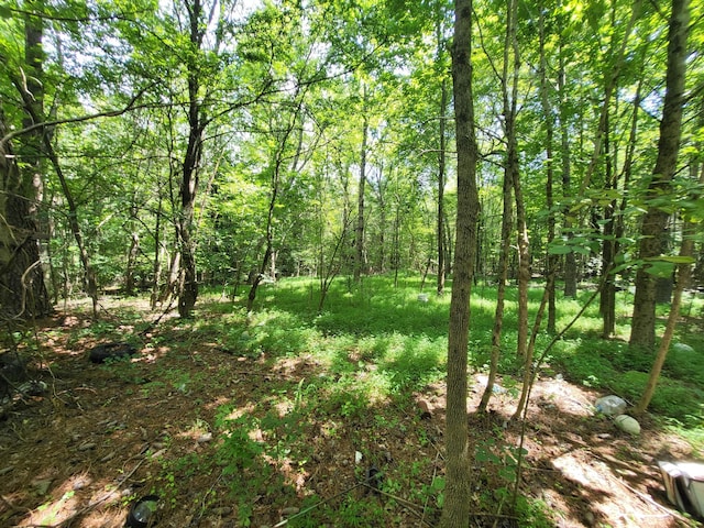 1 Chestnut Hill Rd, Eva, TN 38333 - photo 16