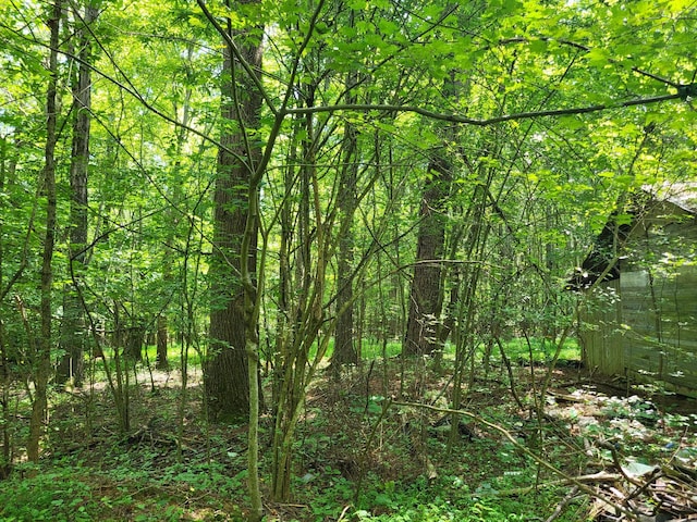1 Chestnut Hill Rd, Eva, TN 38333 - photo 14