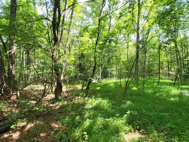 1 Chestnut Hill Rd, Eva, TN 38333 - photo 18