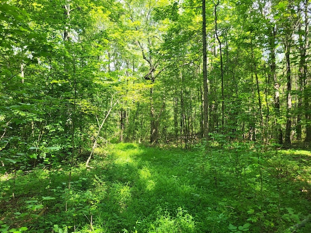 1 Chestnut Hill Rd, Eva, TN 38333 - photo 12