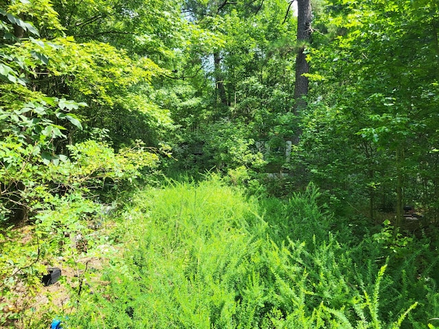 1 Chestnut Hill Rd, Eva, TN 38333 - photo 6