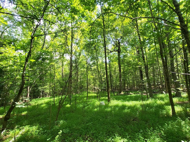 1 Chestnut Hill Rd, Eva, TN 38333 - photo 20
