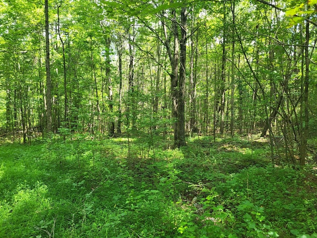 1 Chestnut Hill Rd, Eva, TN 38333 - photo 8