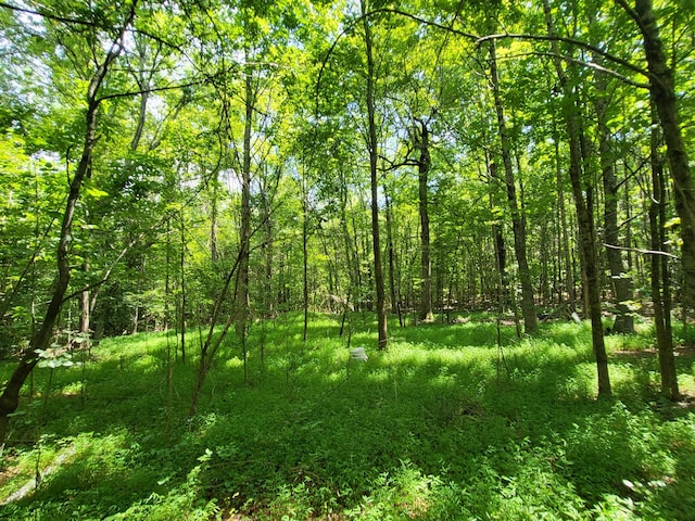 1 Chestnut Hill Rd, Eva, TN 38333 - photo 19