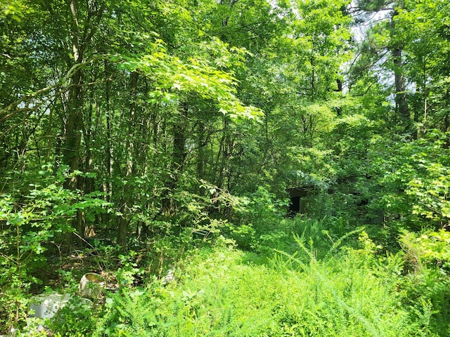 1 Chestnut Hill Rd, Eva, TN 38333 - photo 5