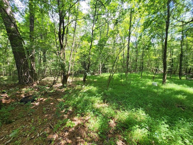 1 Chestnut Hill Rd, Eva, TN 38333 - photo 17