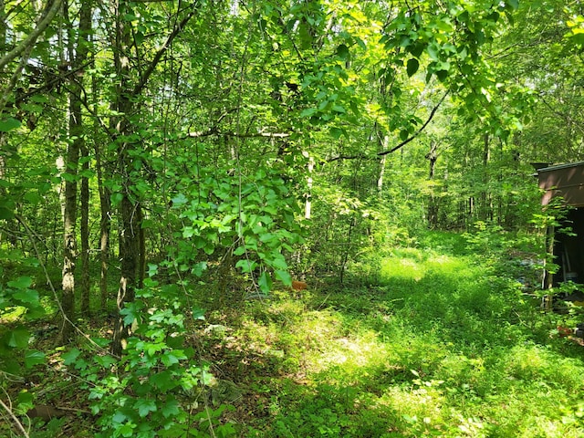1 Chestnut Hill Rd, Eva, TN 38333 - photo 15