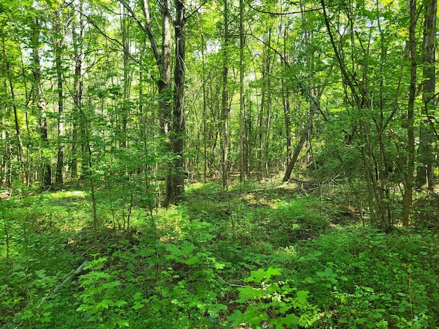 1 Chestnut Hill Rd, Eva, TN 38333 - photo 13