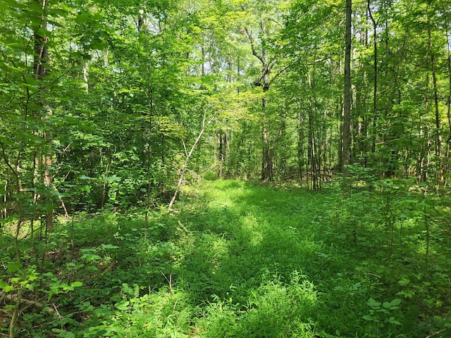 1 Chestnut Hill Rd, Eva, TN 38333 - photo 11