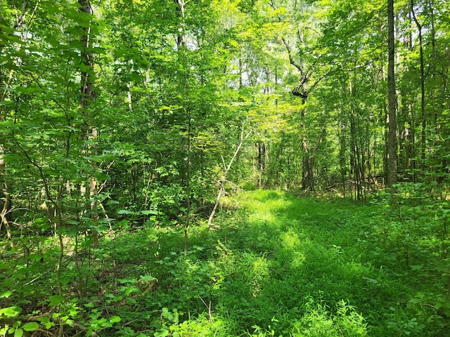 1 Chestnut Hill Rd, Eva, TN 38333 - photo 10