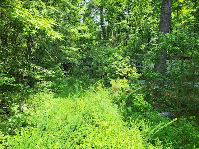 1 Chestnut Hill Rd, Eva, TN 38333 - photo 3