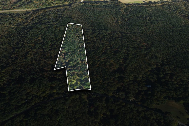 1 Chestnut Hill Rd, Eva, TN 38333 - photo 4