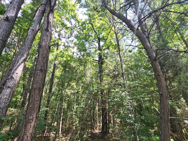 2 Chestnut Hill Rd, Eva, TN 38333 - photo 7