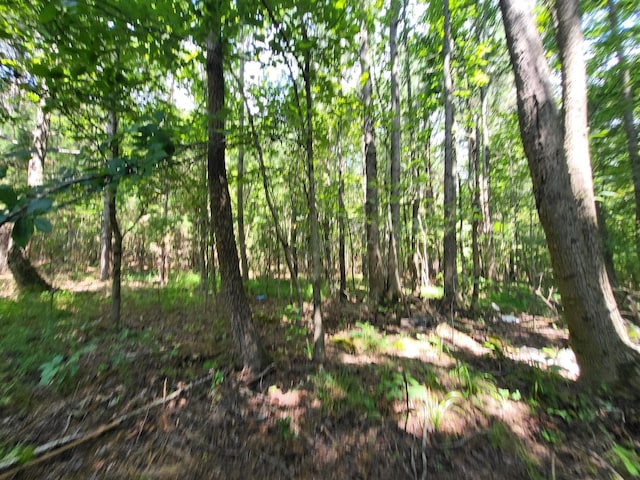 2 Chestnut Hill Rd, Eva, TN 38333 - photo 13