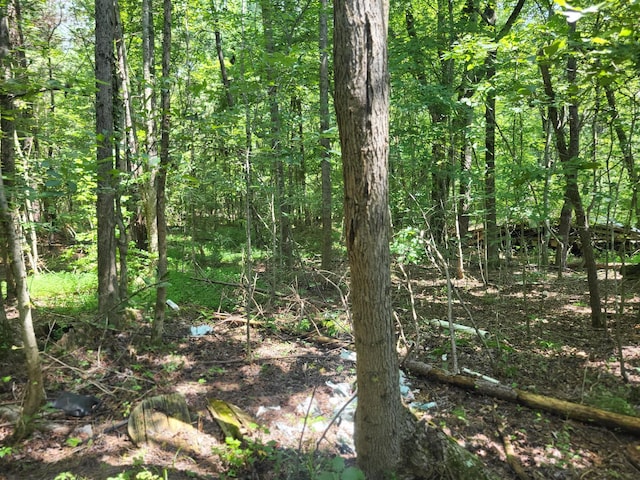 2 Chestnut Hill Rd, Eva, TN 38333 - photo 16