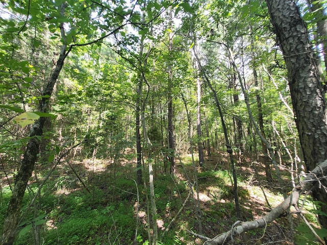 2 Chestnut Hill Rd, Eva, TN 38333 - photo 11