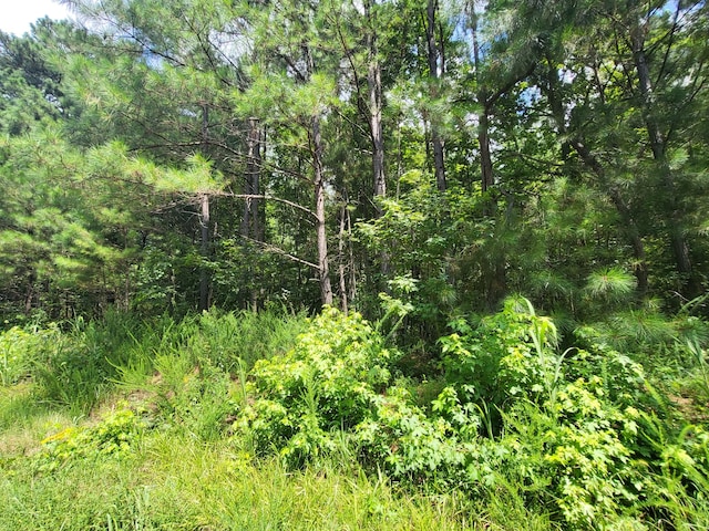 2 Chestnut Hill Rd, Eva, TN 38333 - photo 5